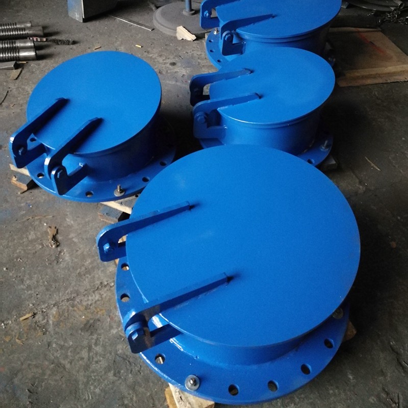 浮箱式拍門(mén)